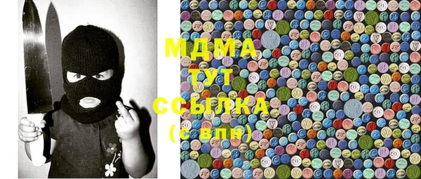 шишки Арсеньев