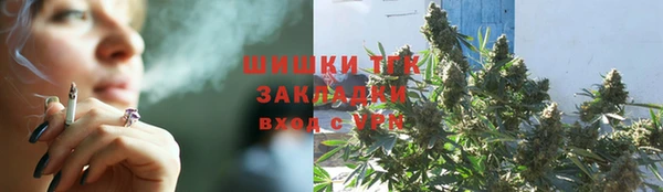 ГАЛЛЮЦИНОГЕННЫЕ ГРИБЫ Аркадак