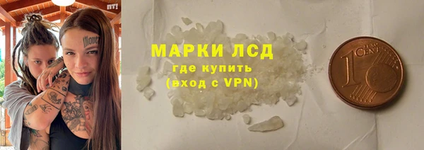 шишки Арсеньев