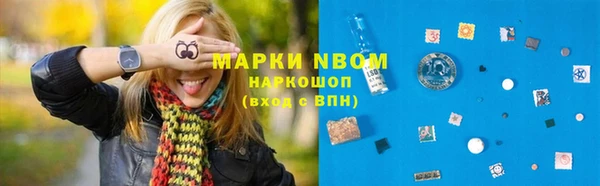 шишки Арсеньев