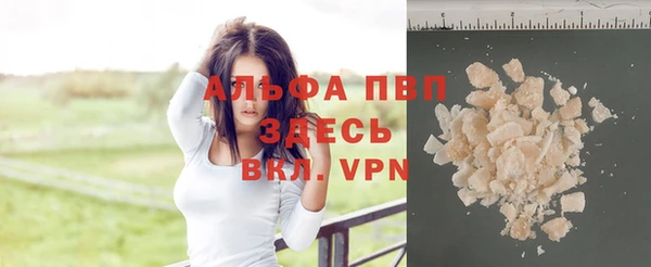 шишки Арсеньев