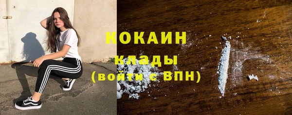 ГАЛЛЮЦИНОГЕННЫЕ ГРИБЫ Аркадак
