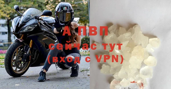 шишки Арсеньев