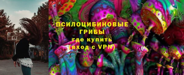 ГАЛЛЮЦИНОГЕННЫЕ ГРИБЫ Аркадак