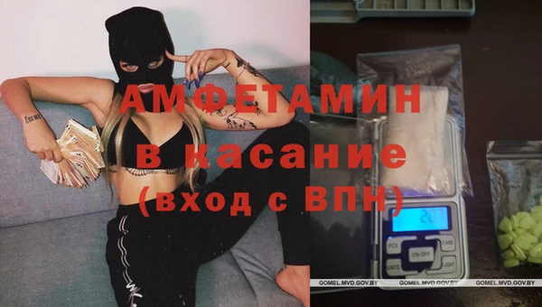 шишки Арсеньев