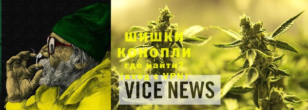 шишки Арсеньев