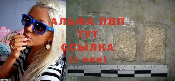 шишки Арсеньев