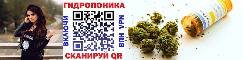 Бошки Шишки гибрид  Купить  Оса 